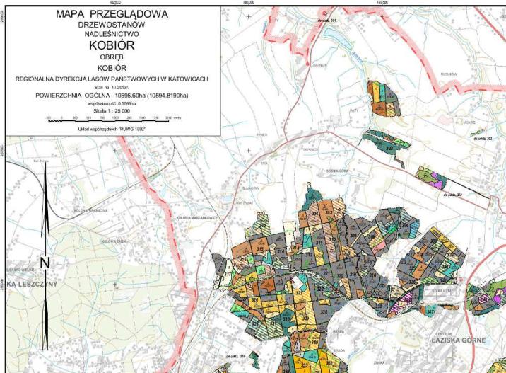 mapa&#x20;przeglądowa&#x20;drzewostanów&#x2e;jpg