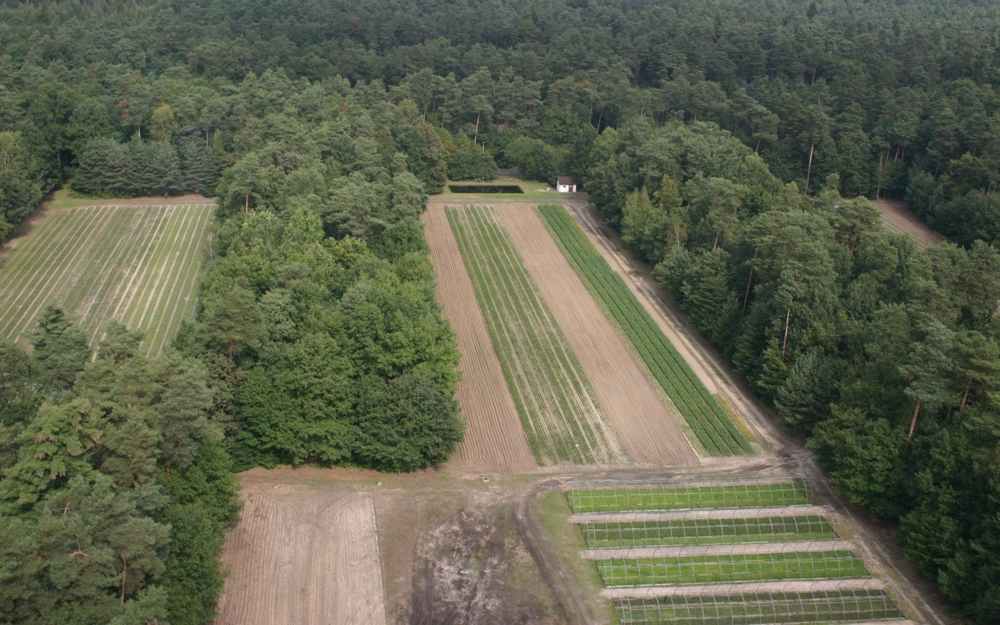 Październik 2013 r. szkółka gruntowa – miejsce pod planowaną inwestycję. Fot. Z.Ryś