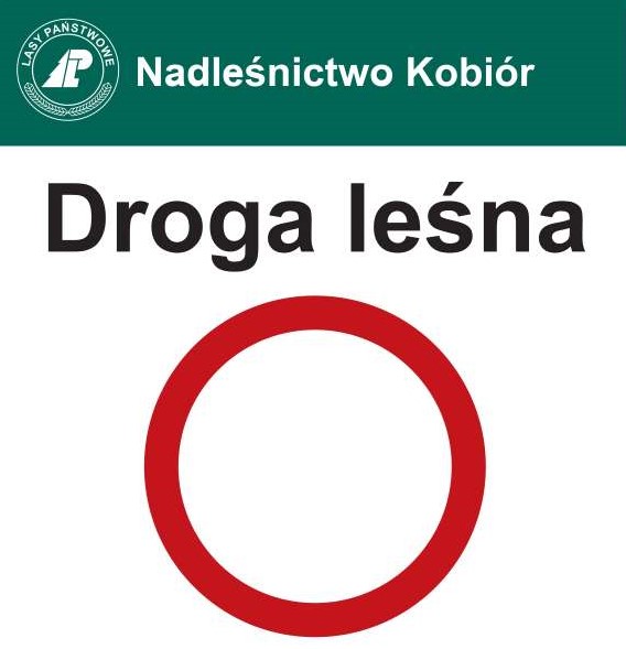 Ruch po drogach leśnych