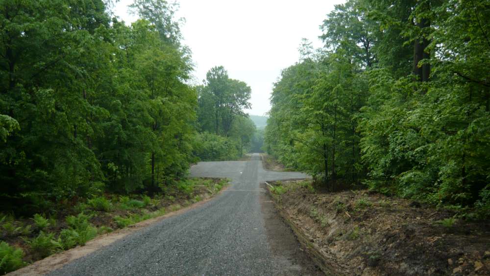 Regulamin korzystania z leśnych dróg udostępnionych do ruchu publicznego dla pojazdów silnikowych, zaprzęgowych i motorowerów na terenie Nadleśnictwa Kobiór