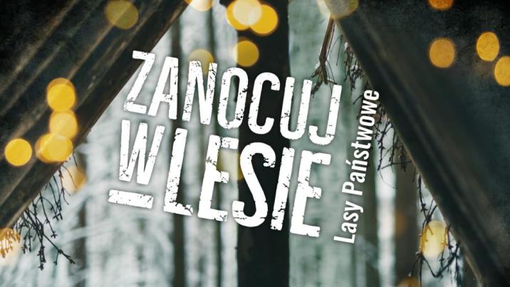 Program „Zanocuj w lesie” w Nadleśnictwie Kobiór