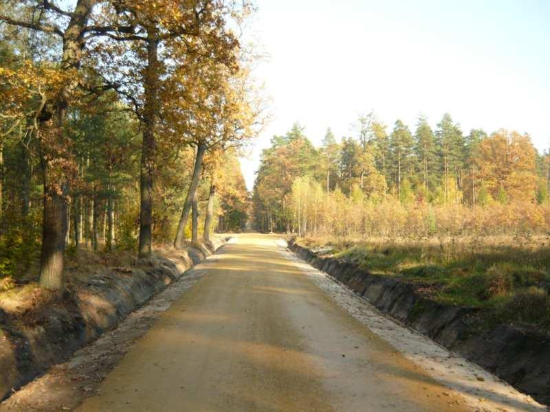 Jedna z nowo wybudowanych dróg udostępniających obszar lasu zarówno w celach wykonywania gospodarki leśnej, jak i jako dojazd pożarowy oraz miejsce spacerów lokalnej ludności. Fot. Jadwiga Długajczyk