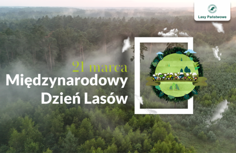 Międzynarodowy Dzień Lasów 2025