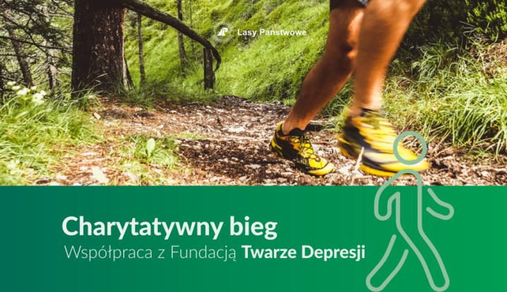 Grafika promująca Bieg z Twarzami Depresji
